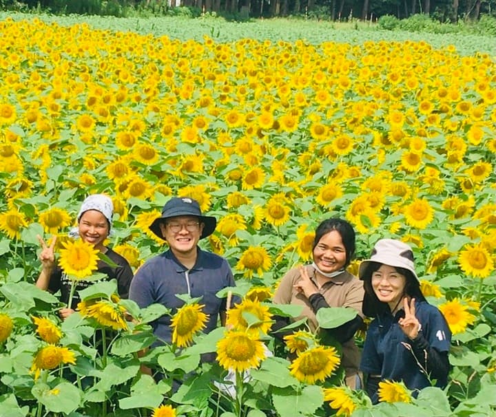 法政大学の学生と連携し、緑肥になる無施肥無農薬のひまわりで「SUNFLOWER EVENT」を開催